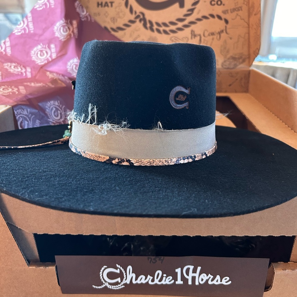 Charlie 1 Horse Lainey Wilson “Lucky Me” Felt hat - Picture 3 of 7